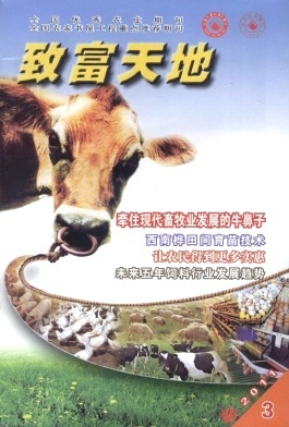 畜牧飼料技術(shù)開發(fā) 致富新路徑